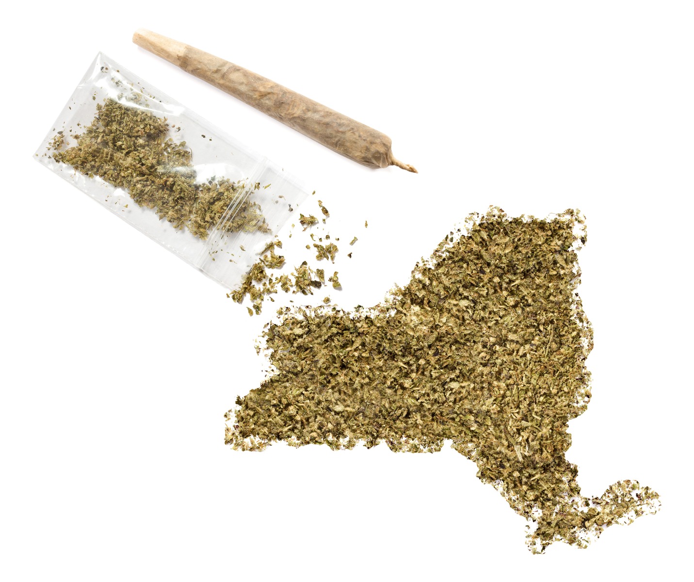buy cannabis seeds in new york
