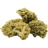 autoflowering cannabis bud