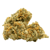 cbd cannabis bud